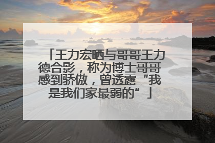 王力宏晒与哥哥王力德合影，称为博士哥哥感到骄傲，曾透露“我是我们家最弱的”