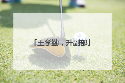 王学勤，升副部
