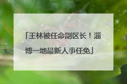 王林被任命副区长！淄博一地最新人事任免