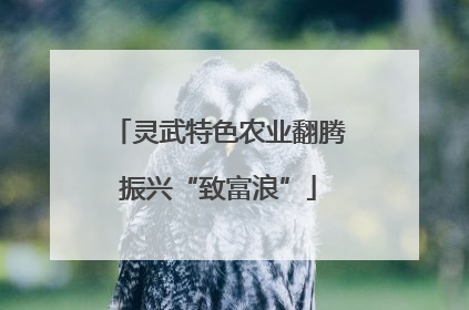 灵武特色农业翻腾振兴“致富浪”