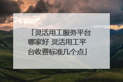 灵活用工服务平台哪家好 灵活用工平台收费标准几个点