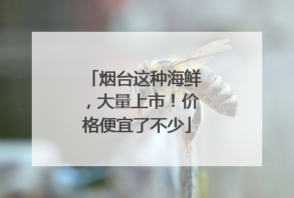烟台这种海鲜，大量上市！价格便宜了不少