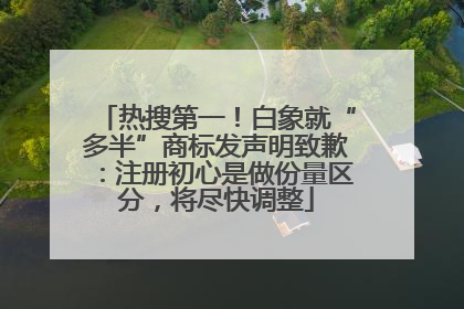 热搜第一！白象就“多半”商标发声明致歉：注册初心是做份量区分，将尽快调整