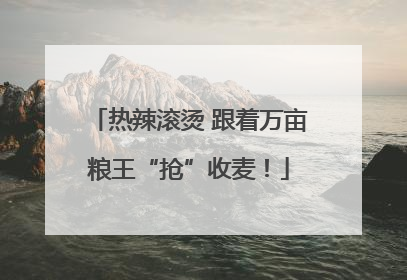 热辣滚烫 跟着万亩粮王“抢”收麦！