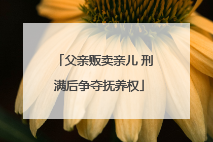 父亲贩卖亲儿 刑满后争夺抚养权