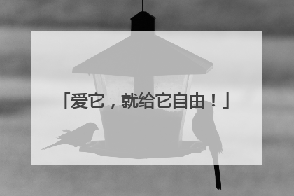 爱它，就给它自由！