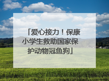 爱心接力！保康小学生救助国家保护动物冠鱼狗