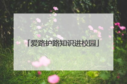 爱路护路知识进校园