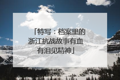 特写：档案里的浙江抗战故事有血有泪见精神