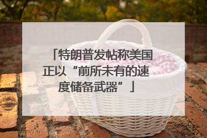特朗普发帖称美国正以“前所未有的速度储备武器”