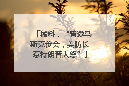 猛料：“曾邀马斯克参会，美防长惹特朗普大怒”