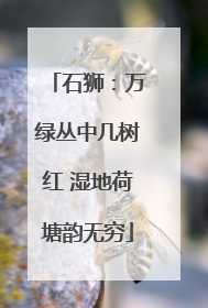 石狮：万绿丛中几树红 湿地荷塘韵无穷
