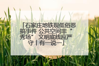 石家庄地铁现低俗恶搞事件 公共空间非“秀场” 文明底线应严守丨有一说一