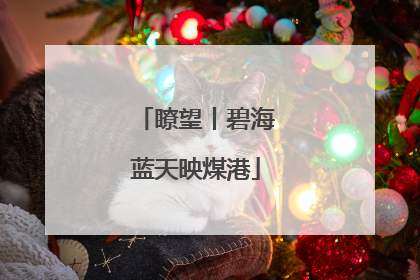 瞭望丨碧海蓝天映煤港