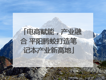 电商赋能，产业融合 平阳腾蛟打造笔记本产业新高地