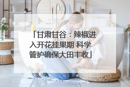 甘肃甘谷：辣椒进入开花挂果期 科学管护确保大田丰收