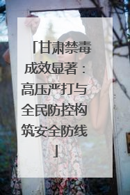 甘肃禁毒成效显著：高压严打与全民防控构筑安全防线