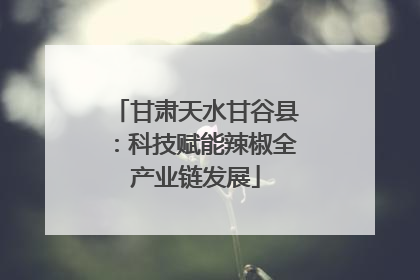 甘肃天水甘谷县：科技赋能辣椒全产业链发展