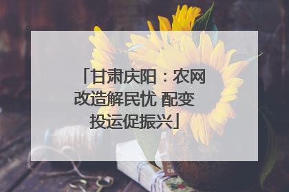甘肃庆阳：农网改造解民忧 配变投运促振兴