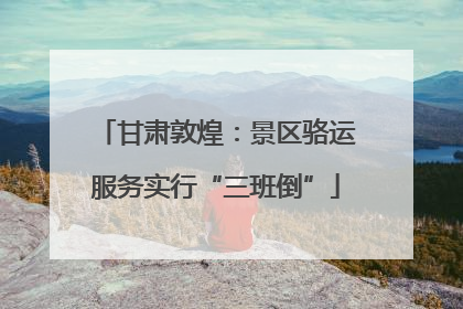 甘肃敦煌：景区骆运服务实行“三班倒”