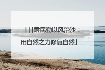 甘肃民勤以风治沙：用自然之力修复自然