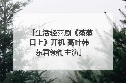 生活轻喜剧《蒸蒸日上》开机 高叶韩东君领衔主演