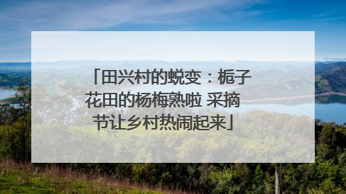 田兴村的蜕变：栀子花田的杨梅熟啦 采摘节让乡村热闹起来