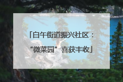 白午街道振兴社区：“微菜园”喜获丰收