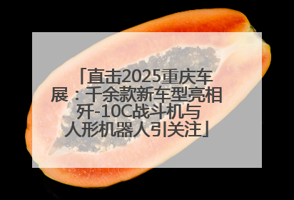 直击2025重庆车展：千余款新车型亮相 歼-10C战斗机与人形机器人引关注