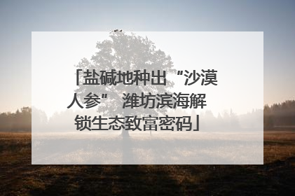 盐碱地种出“沙漠人参” 潍坊滨海解锁生态致富密码