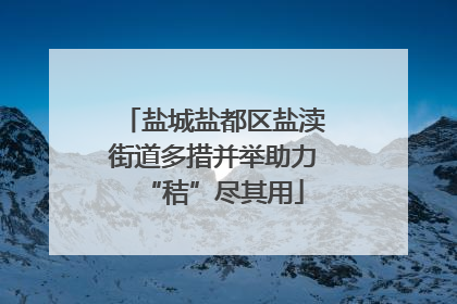 盐城盐都区盐渎街道多措并举助力“秸”尽其用