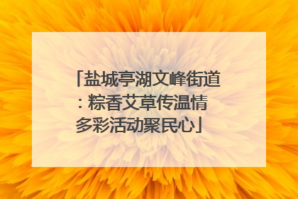 盐城亭湖文峰街道：粽香艾草传温情 多彩活动聚民心