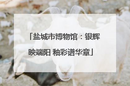 盐城市博物馆：银辉映端阳 釉彩谱华章
