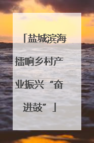 盐城滨海擂响乡村产业振兴“奋进鼓”