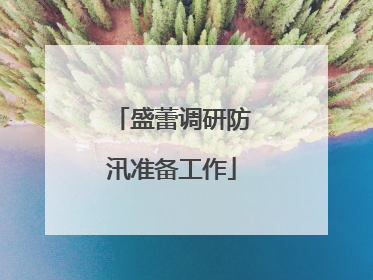 盛蕾调研防汛准备工作