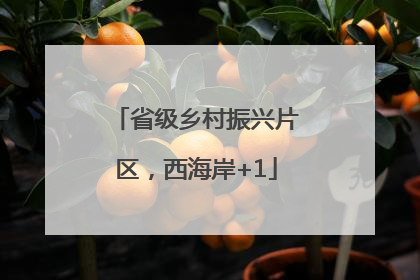 省级乡村振兴片区，西海岸+1