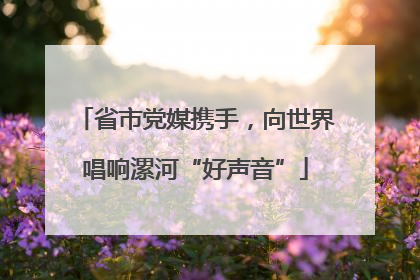 省市党媒携手，向世界唱响漯河“好声音”