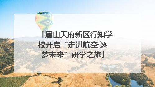 眉山天府新区行知学校开启“走进航空·逐梦未来”研学之旅