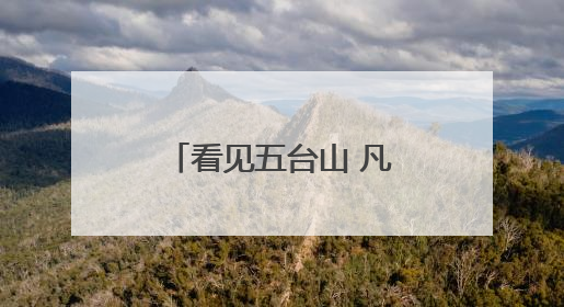 看见五台山 凡人凡事｜生命的托举 应急救援队昼夜连续作战成功救出两批被困游客