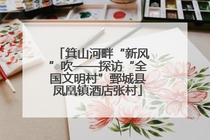 箕山河畔“新风”吹——探访“全国文明村”鄄城县凤凰镇酒店张村