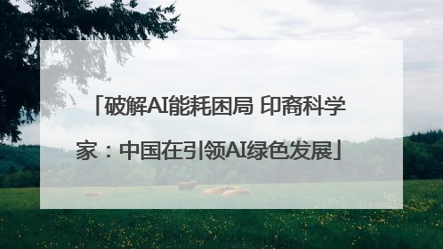 破解AI能耗困局 印裔科学家：中国在引领AI绿色发展