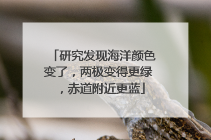 研究发现海洋颜色变了，两极变得更绿，赤道附近更蓝