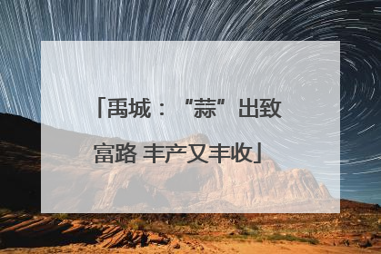 禹城：“蒜”出致富路 丰产又丰收