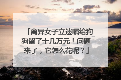 离异女子立遗嘱给狗狗留了十几万元！问题来了，它怎么花呢？