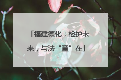 福建德化：检护未来，与法“童”在