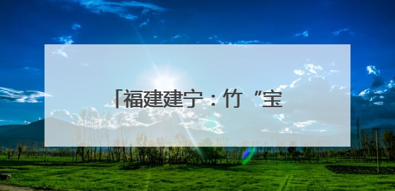 福建建宁：竹“宝藏”激活经济增长