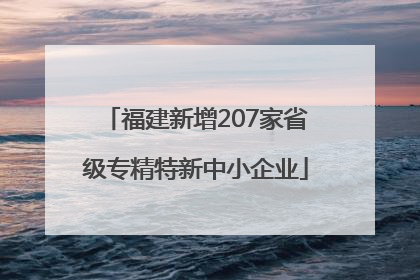 福建新增207家省级专精特新中小企业