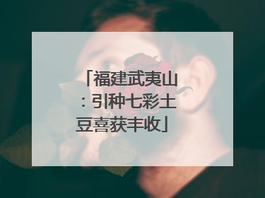 福建武夷山：引种七彩土豆喜获丰收