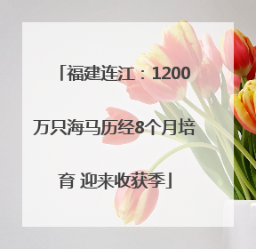 福建连江：1200万只海马历经8个月培育 迎来收获季