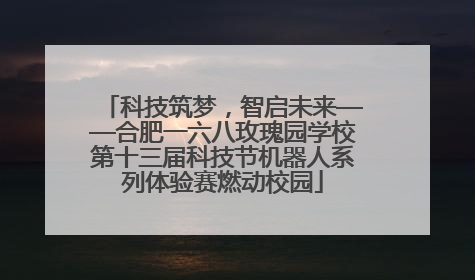 科技筑梦，智启未来——合肥一六八玫瑰园学校第十三届科技节机器人系列体验赛燃动校园